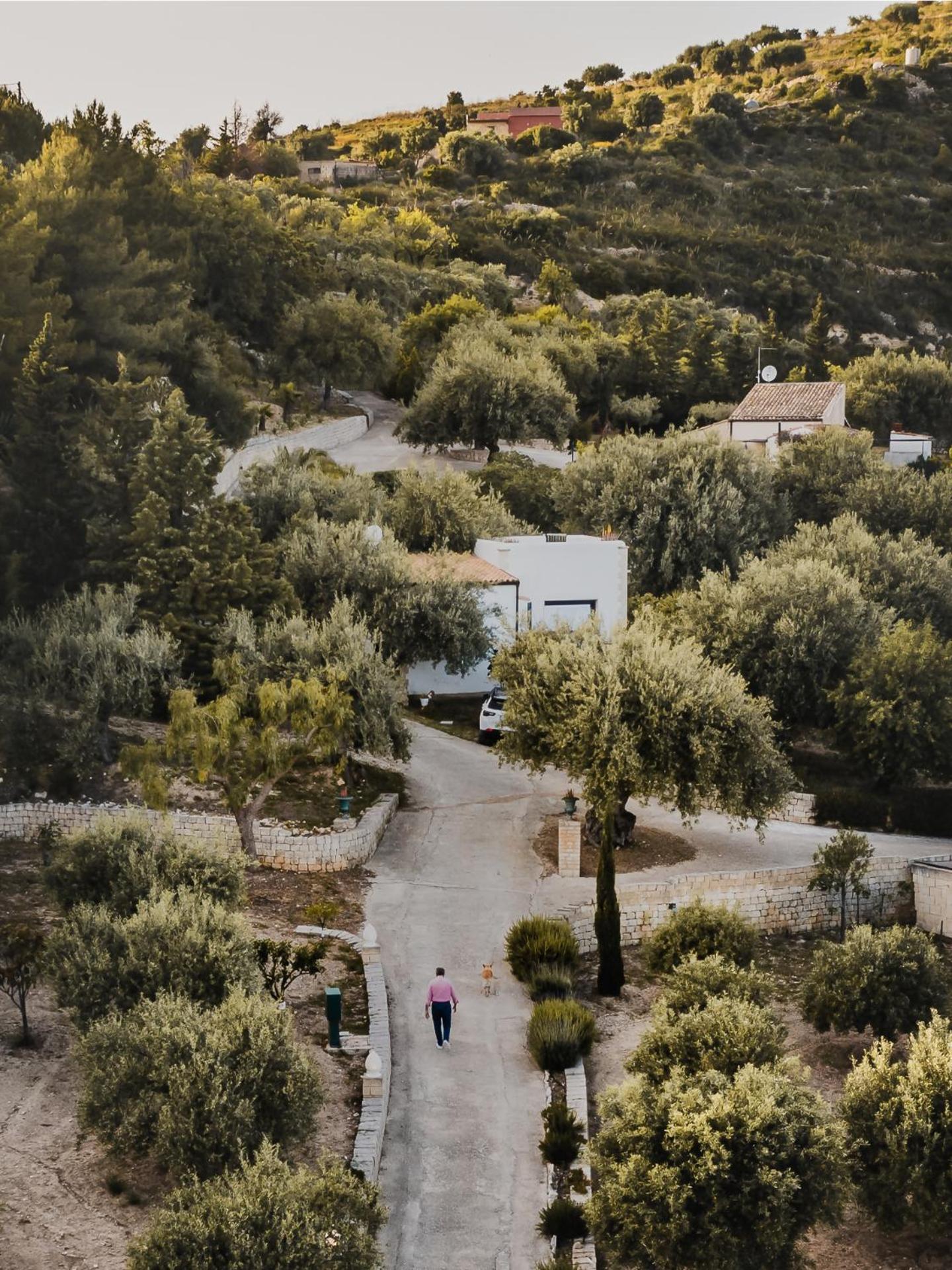 Tenuta Olive Alive Noto Habitación foto
