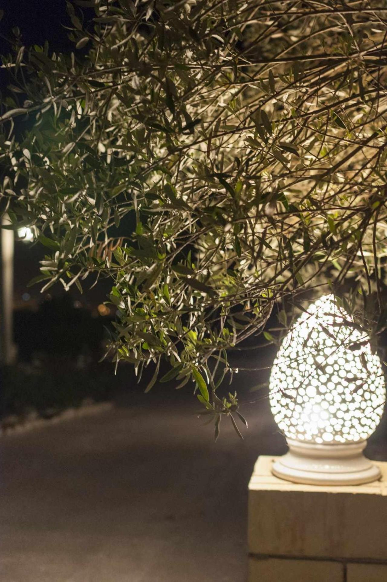 Tenuta Olive Alive Noto Exterior foto